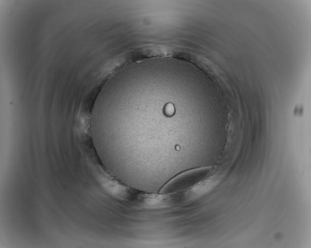 X0000100950096200807081228