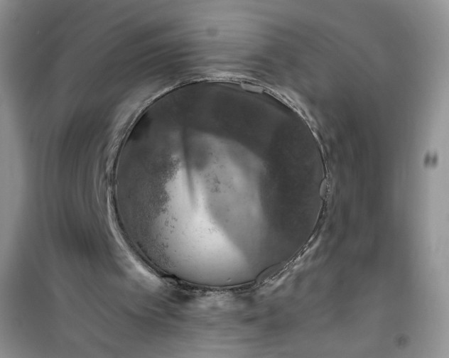 X0000100950097200807081228