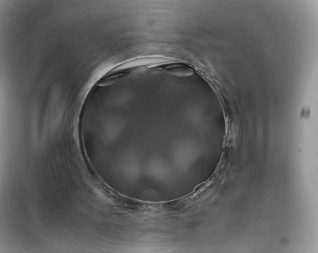 X0000100950099200807081228