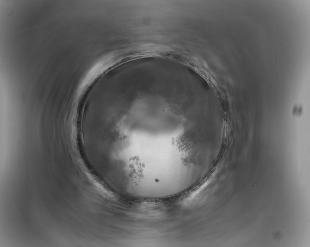 X0000100950101200807081228