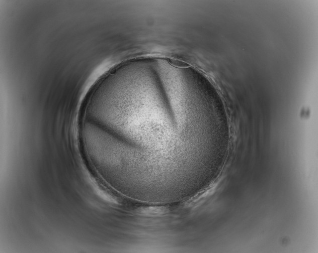 X0000100950102200807081228