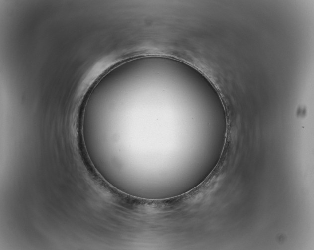 X0000100950103200807081228