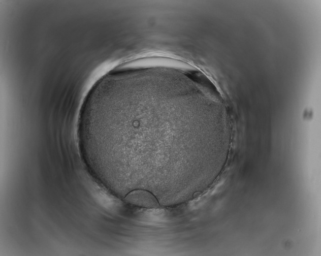 X0000100950104200807081227