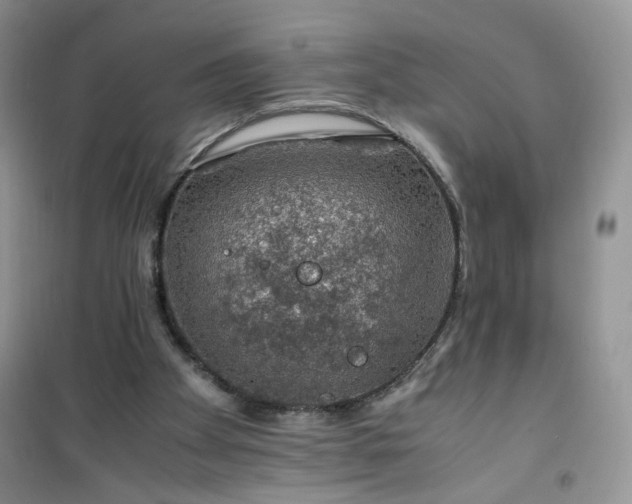 X0000100950105200807081227