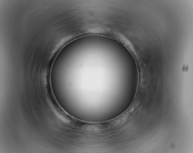 X0000100950106200807081227