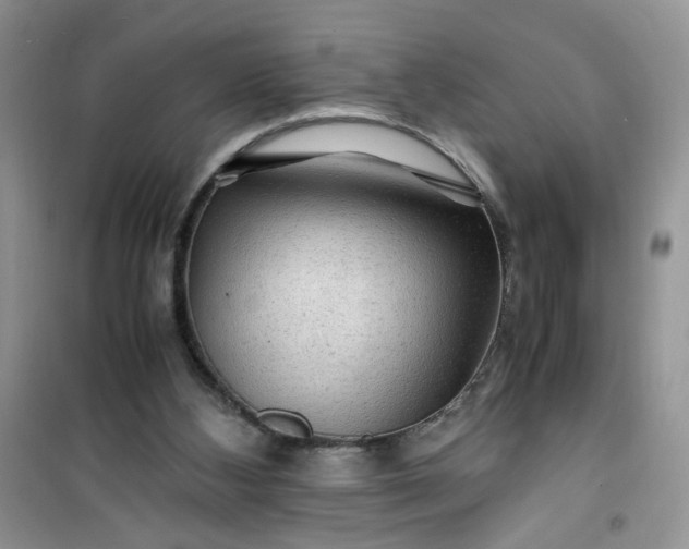 X0000100950108200807081227