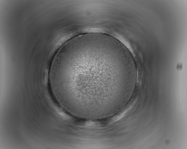 X0000100950109200807081227