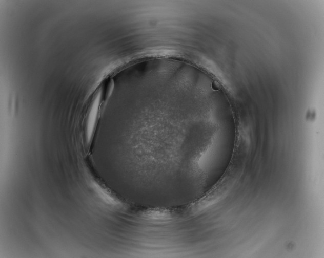 X0000100950110200807081227