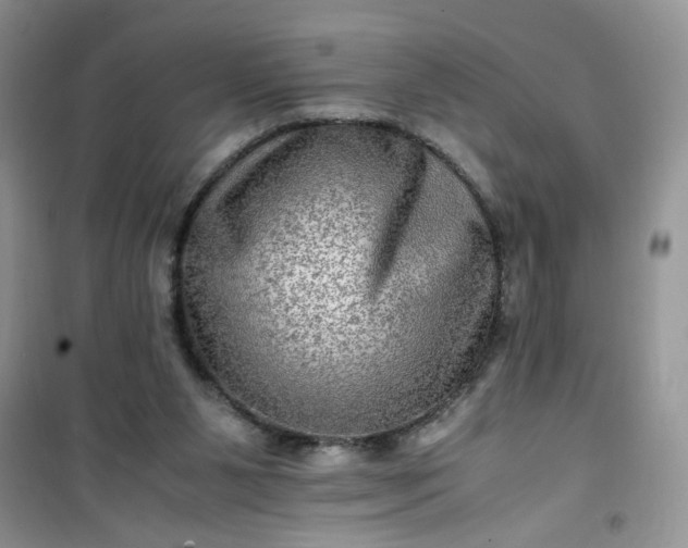 X0000100950111200807081227