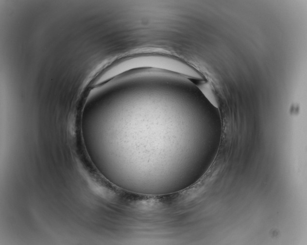 X0000100950112200807081227