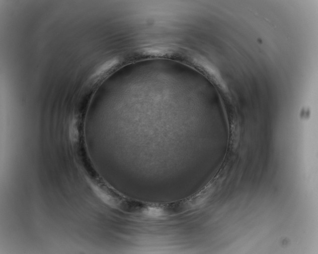 X0000100950114200807081227