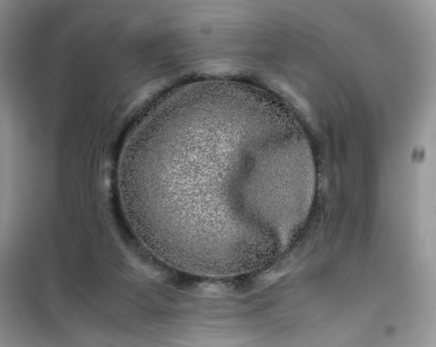 X0000100950115200807081227