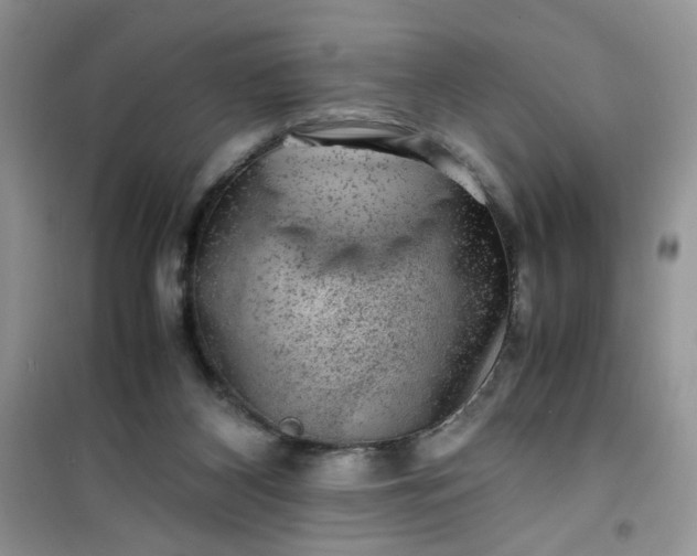 X0000100950116200807081227