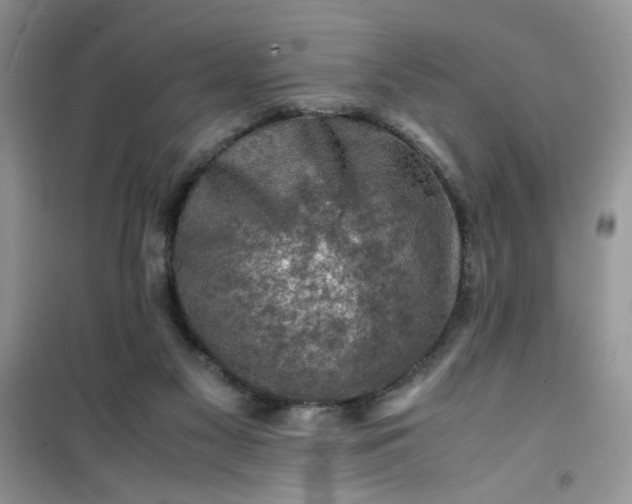 X0000100950117200807081227