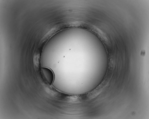 X0000100950118200807081227