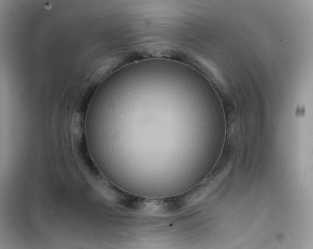 X0000100950121200807081227