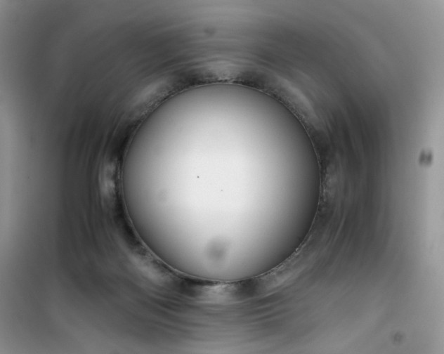 X0000100950122200807081227