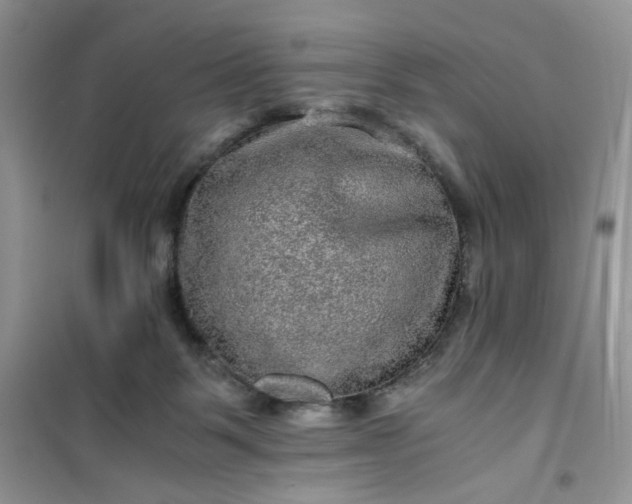 X0000100950123200807081227