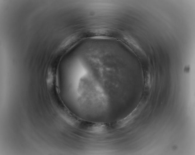 X0000100950124200807081227