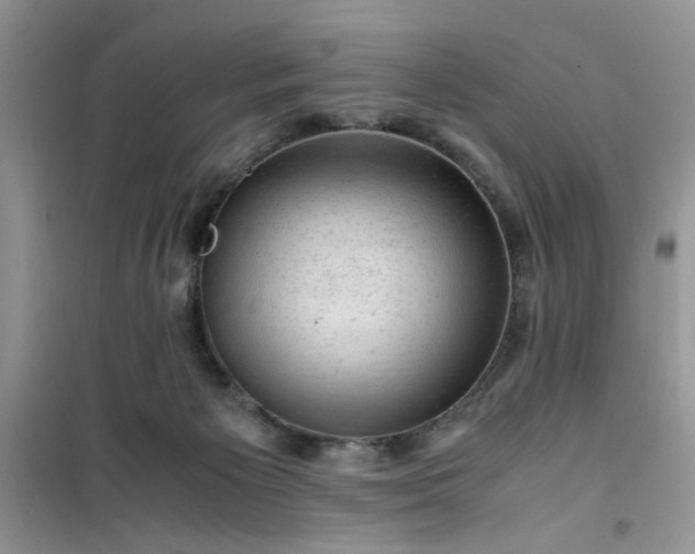 X0000100950125200807081227