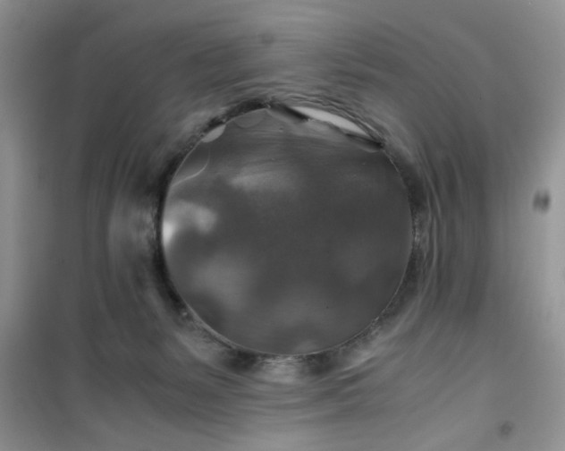 X0000100950127200807081227