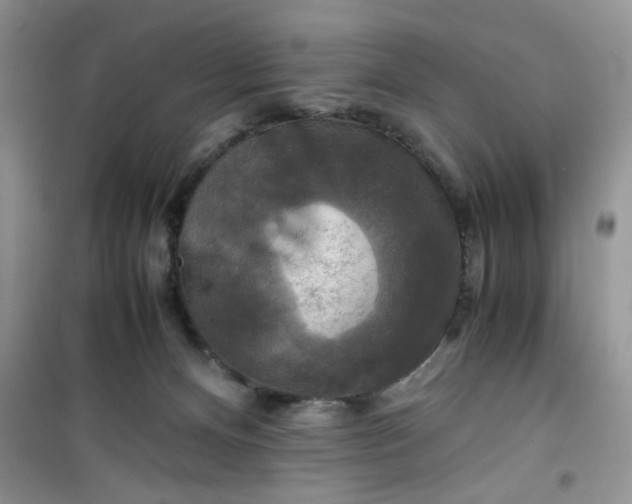 X0000100950128200807081227