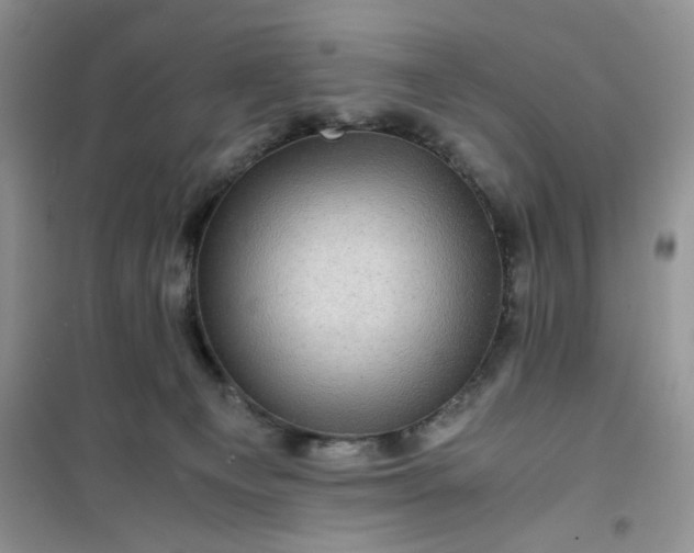 X0000100950129200807081227