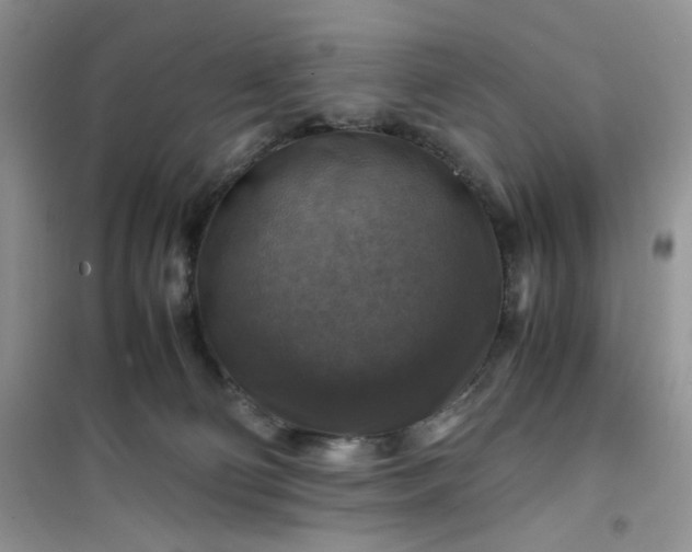 X0000100950130200807081227