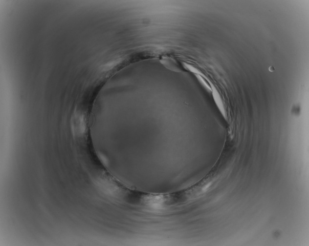 X0000100950131200807081227