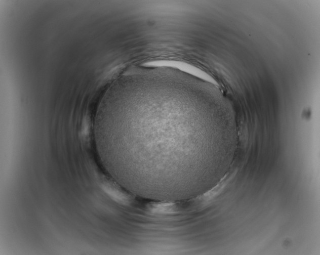 X0000100950132200807081227