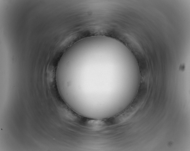 X0000100950133200807081227