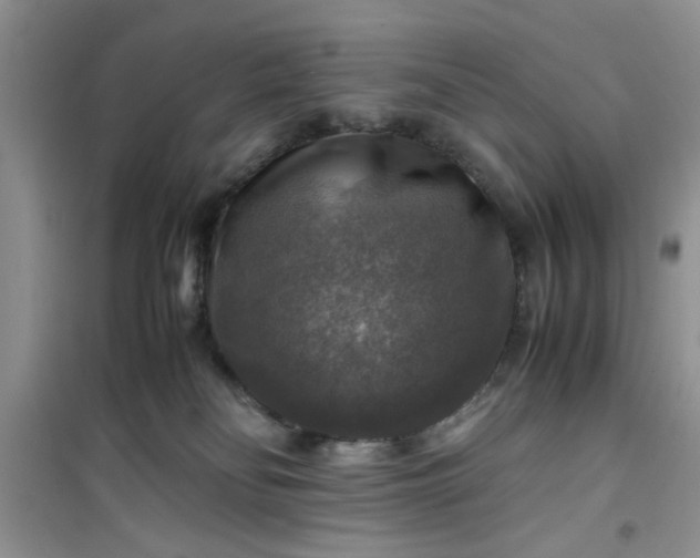 X0000100950134200807081227