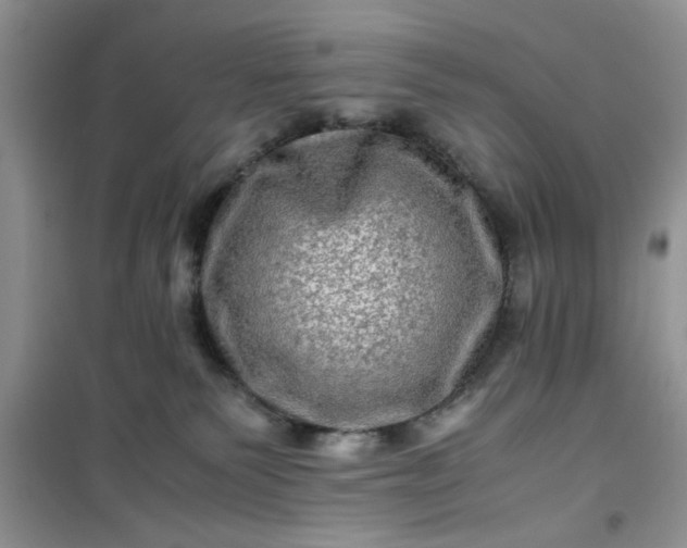 X0000100950135200807081227