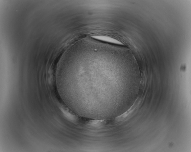 X0000100950136200807081227