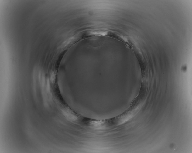 X0000100950139200807081227