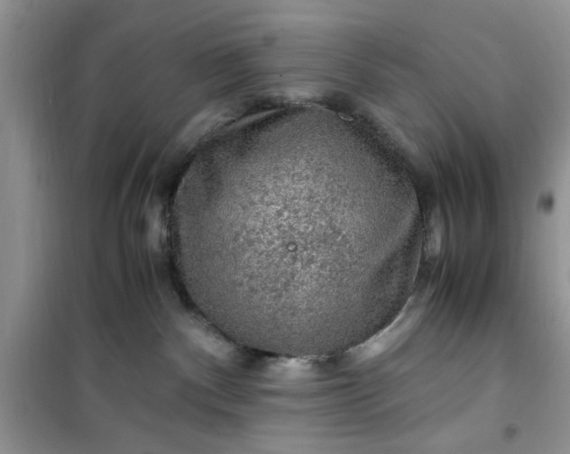 X0000100950140200807081227