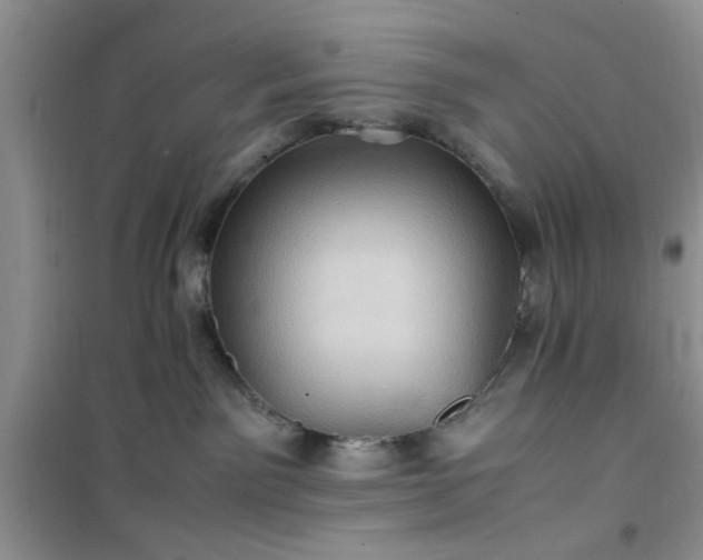 X0000100950141200807081227