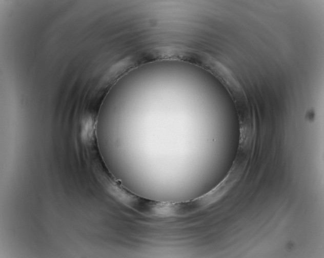 X0000100950142200807081227