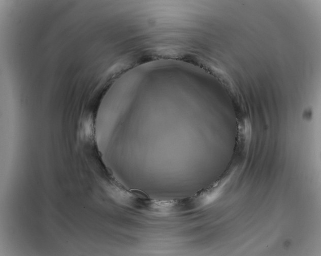 X0000100950143200807081227