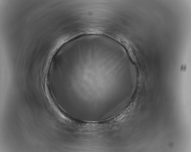 X0000100950145200807081226