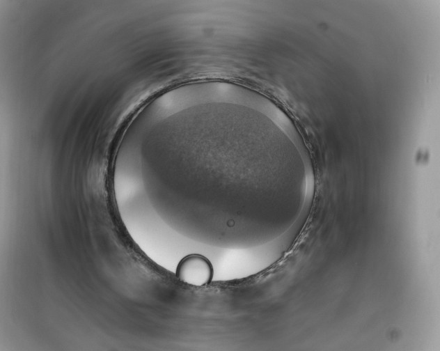 X0000100950146200807081226