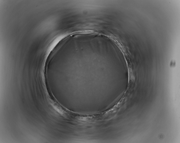 X0000100950147200807081226