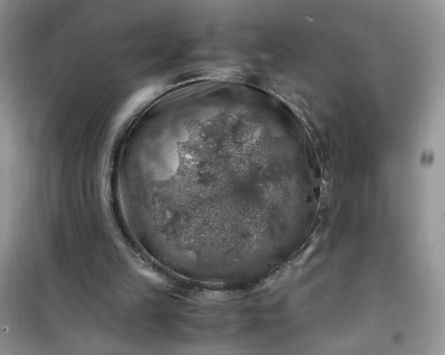 X0000100950149200807081226