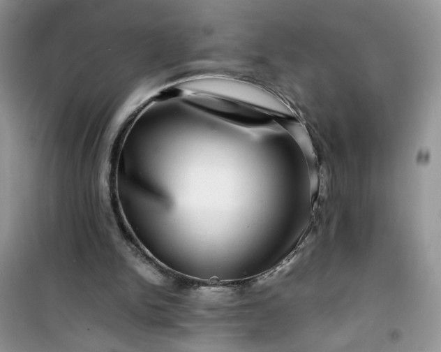 X0000100950150200807081226