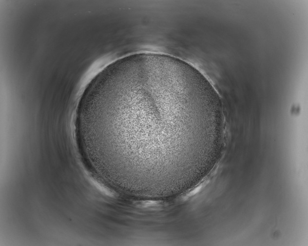 X0000100950151200807081226