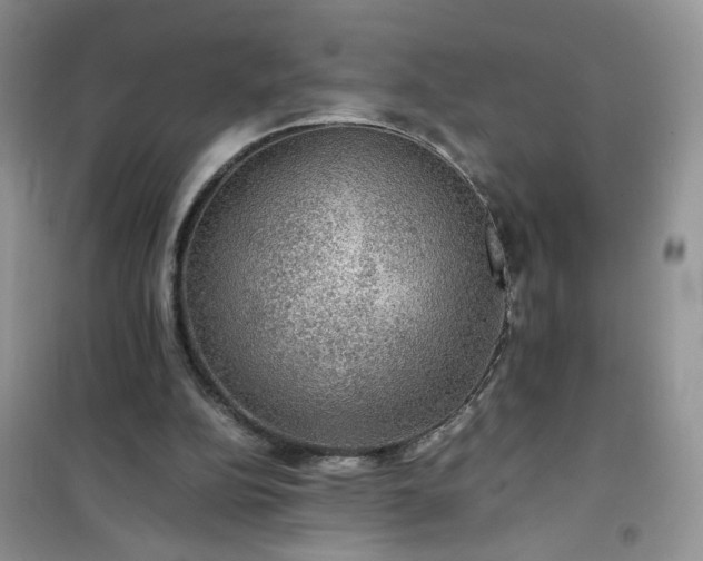 X0000100950152200807081226