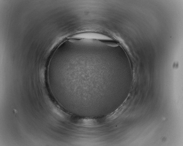 X0000100950154200807081226