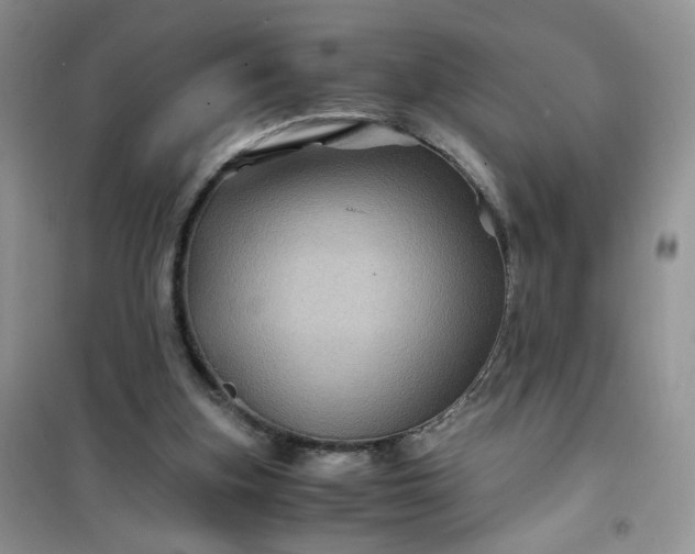 X0000100950155200807081226