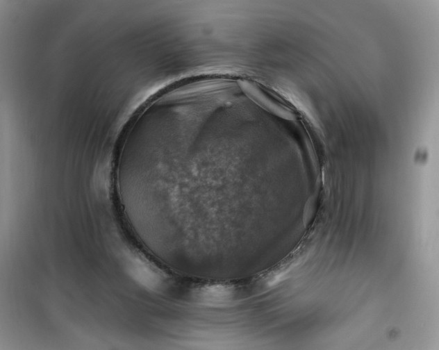 X0000100950156200807081226