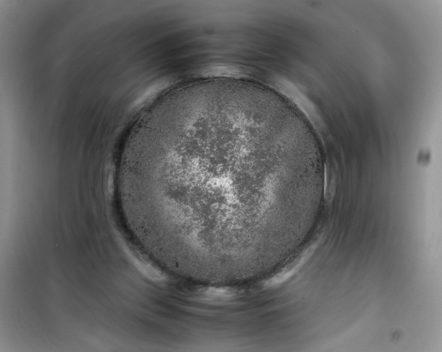 X0000100950157200807081226